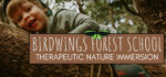 Birdwings Forest School School Holiday Adventure Days